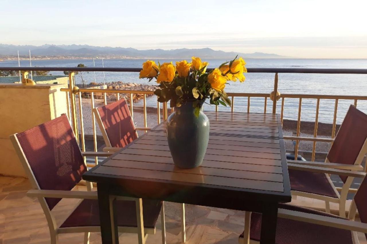 Seafront One Bedroom Apartment With A Terrasse Swimming Pool And A Parking Antibes Exteriör bild